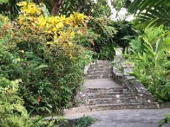 02A Stone-lined paths tell where wilderness ends and landscaping begins Strawberry Hill Resort near Kingston Jamaica